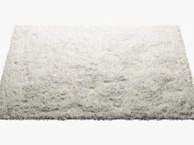 Carpets with long pile 3D model