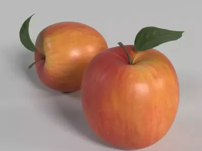 Apple two apples 3D model