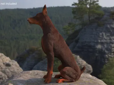  Brown Doberman Pinscher Sits Fur for Cinema 4D 
