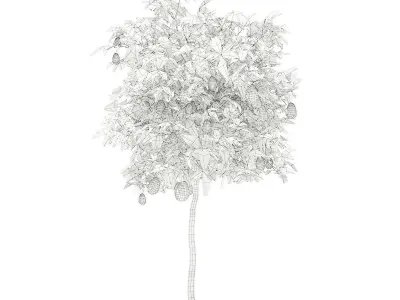 Avocado Tree with Fruits 3D model