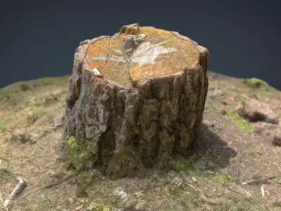 Tree Stump Low-poly 3D model
