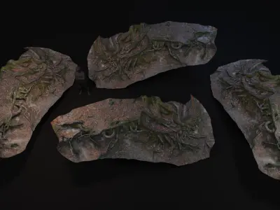 Beech forest ground - 2 of 6 - scan PBR Game ready Low-poly 3D model