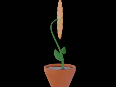  Flower Character Free 3D model