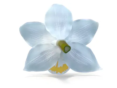  3D Flowers Collection – High-Quality 4K PBR Asset Pack | Orchids, Roses, Nymphaea &amp;amp; Lilies 