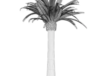 Pineapple Palm 3D model