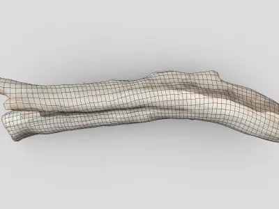 Dead Wood 4 Low-poly 3D model