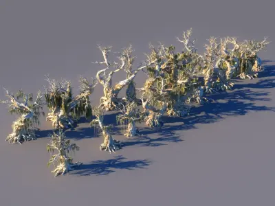 Magic Forest Pack  3D model