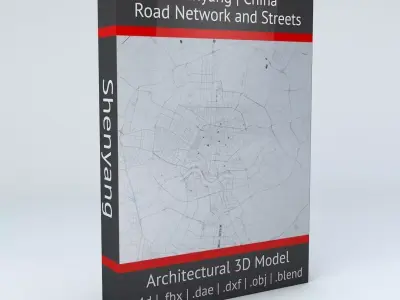 Shenyang Road Network and Streets 3D model