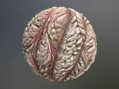 Material Skin Monster 56 Seamless PBR Texture Texture
