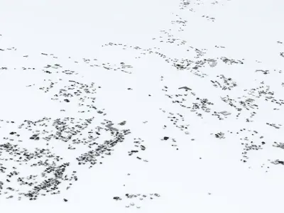 Fukushima Area Coast Streets and Buildings 3D model