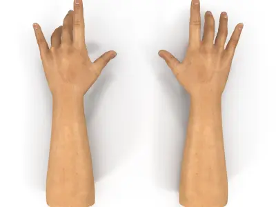 Man Hands 2 Rigged for Cinema 4D 
