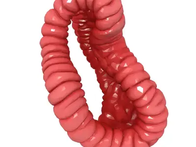 Stylized Abstract Twisted Figure Eight Low-poly 3D model