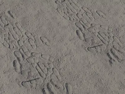 Dry Mud Path With Footprints PBR Texture  Texture