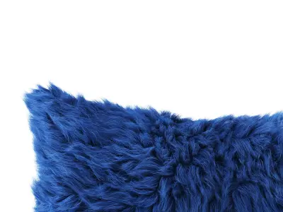 Sheepskin fur pillow 3D model