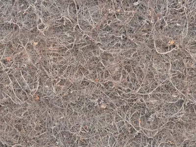 Seamless Dry Twigs Ground Debris Texture  Texture