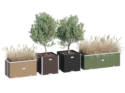 Polyrattan three 3D model