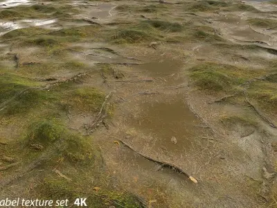 PBR Texture Grass Mud Puddles  Texture