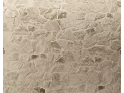 Stone Masonry Wall 06 Texture