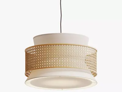 Weave Pendant Light 3D model