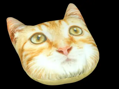  Pillow blanket collection 03 