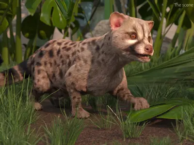  Asian Palm Civet Musang Spotted Coat Brown Fur Rigged 