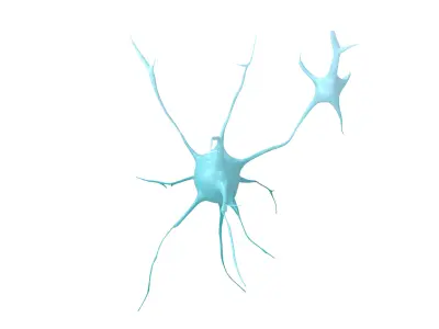Neurons v1 001 Low-poly 3D model