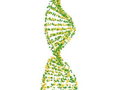DNA Molecule v4 007 3D model