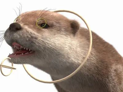  Aquatic Otter Cleans Face Fur Animated Rigged 