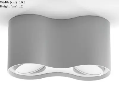 Philips Hue Pillar 2 Spot Ceiling Flush Light 3D model