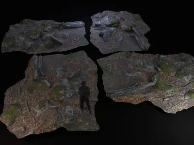 Beech forest ground - 5 of 6 - scan PBR Game ready Low-poly 3D model