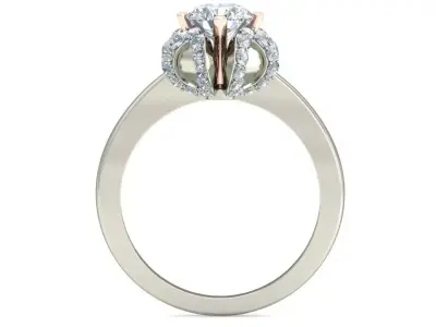 Women Ring  Render 3dm STL OBJ FBX Details 3D print model 257