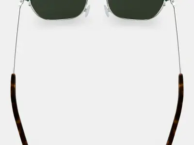 Heyward Sunglasses in Antique Silver with Pine 3D model