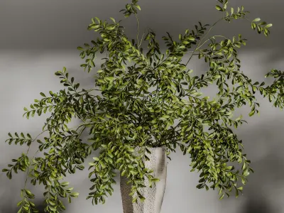 Collaction Plants Bouquet 27 3D model