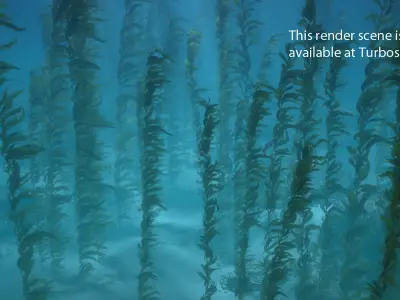  Seaweed Kelp Animated 