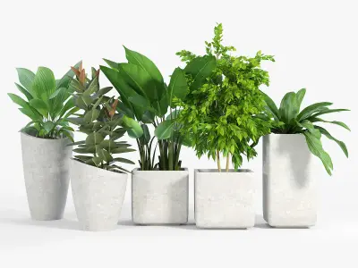 Set Crate and Barrel three 3D model