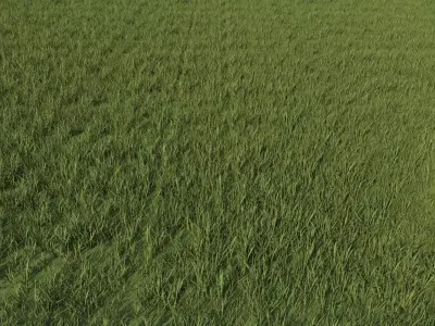 Grass 3D model get