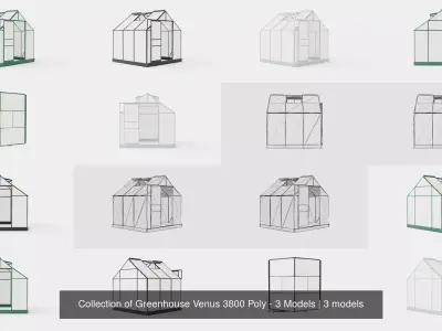 Collection of Greenhouse Venus 3800 Poly - 3 Models 3D Model Pack