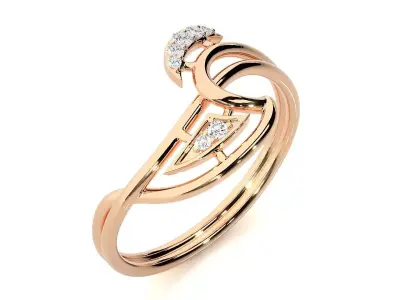 Ring - 102 3D print model