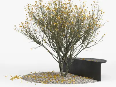 Autumn cactus on bench 3D model