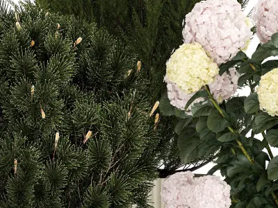 Beautiful plants in pots for indoors and outdoors 1298 3D model