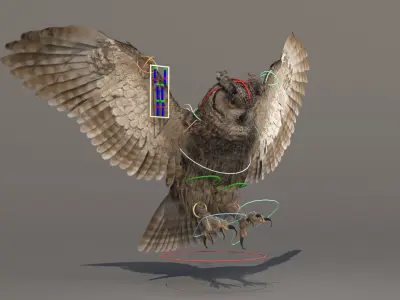  Owl Animated 
