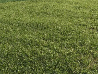  Lawn + Grasses Pack (+GrowFX) 