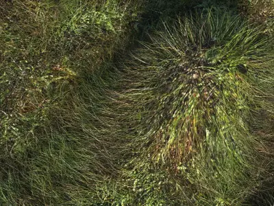 Terrain 3D model buy