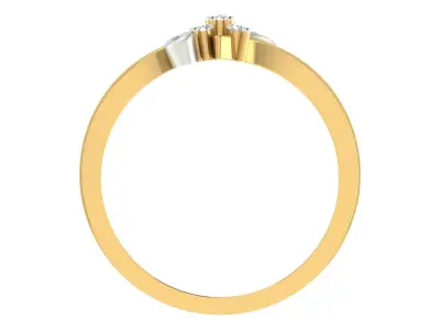 Women Ring  Render 3dm STL OBJ FBX Details 3D print model 288