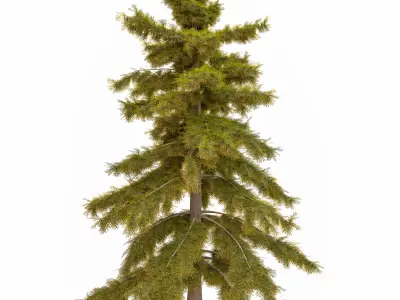 tree11 3D model