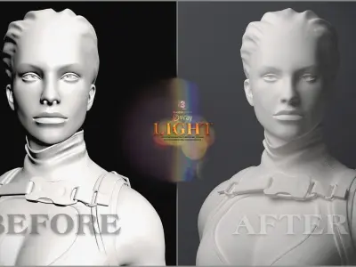Lighting for Portrait Album 01 3D model