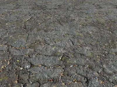 Old asphalt road 2 PBR Texture