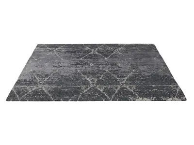 SAVONA HAND-KNOTTED WOOL SILK RUG B 3D model