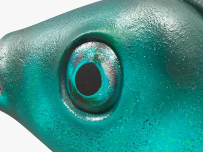  Freshwater Fish Collection 2 