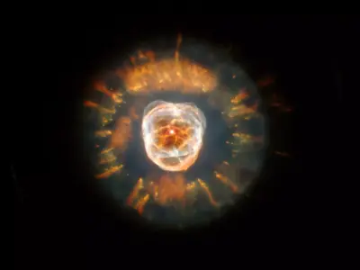 Eskimo Nebula 3D model